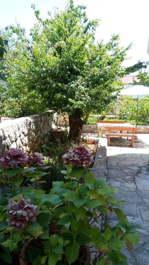 Apartmani Vitkovic II ツレス エクステリア 写真